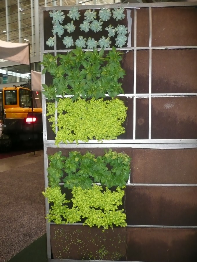 Look to the Horizons!