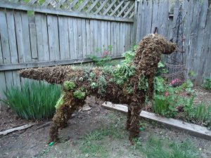 Sarahs Photo of Doggie Dog at Clients