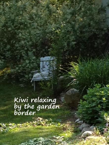 Kiwi defines relaxation