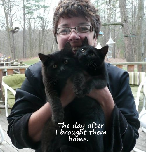 3 years ago, when I rescued them from the street