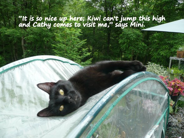 Favorite spot to hang out