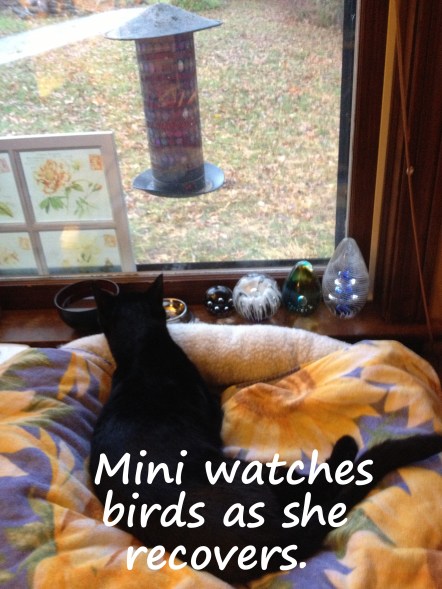 Getting well and strong