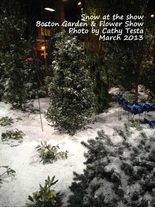 Snow covered display