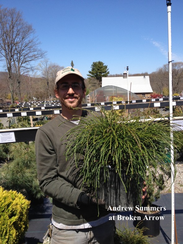 A happy and helpful staff member 