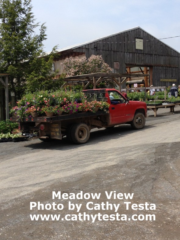 Trucks constantly deliver restocks from the greenhouses to the retail area