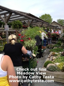 Cash out line - moves quickly