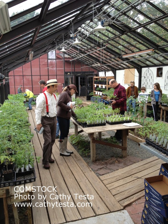 Comstock, Ferre & Co. Greenhouse