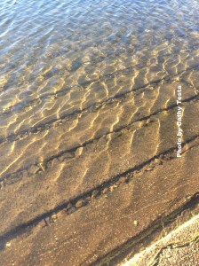 Clear Waters at Crystal Lake