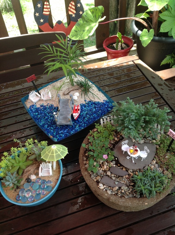 Miniatures Garden Workshop Coming Up 