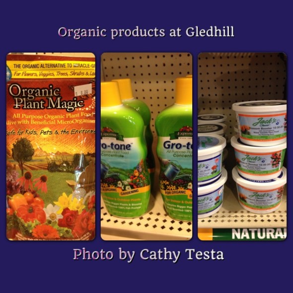 Organically at Gledhill