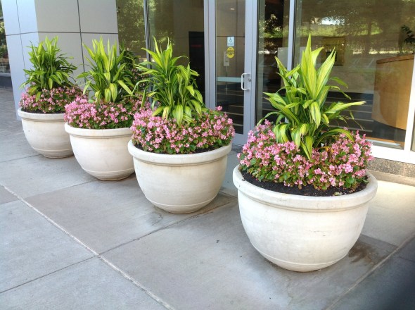 East Cambridge outside a business building