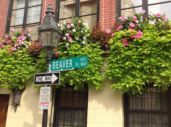 Beacon Hill Window Boxes