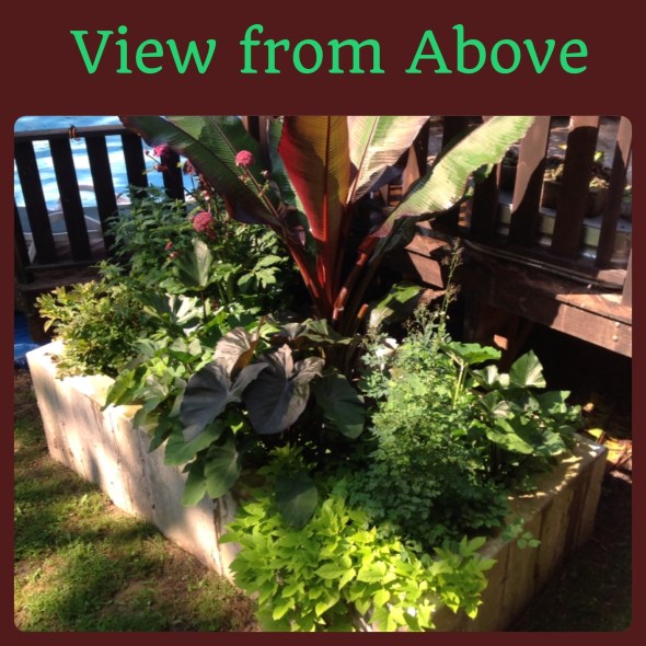 Planter filled lushly