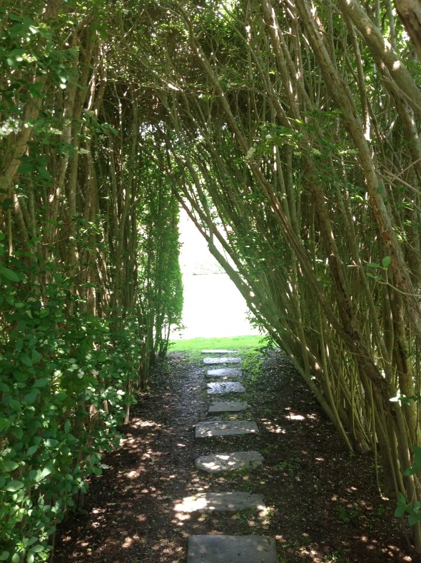 Hedge tunnel path to Secret Gardens