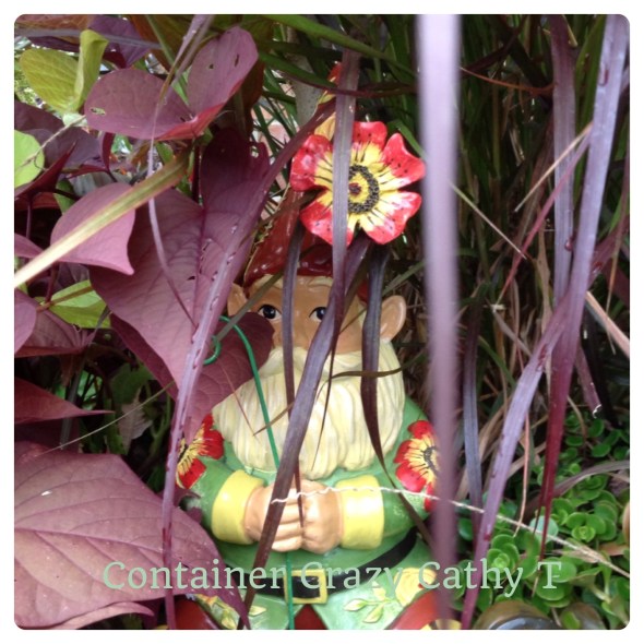 Protecting my containers