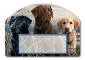 Yard DeSign by Magnet Works