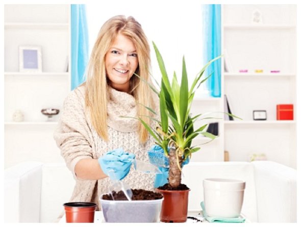 Image courtesy of FreeDigitalImages.net/Marin