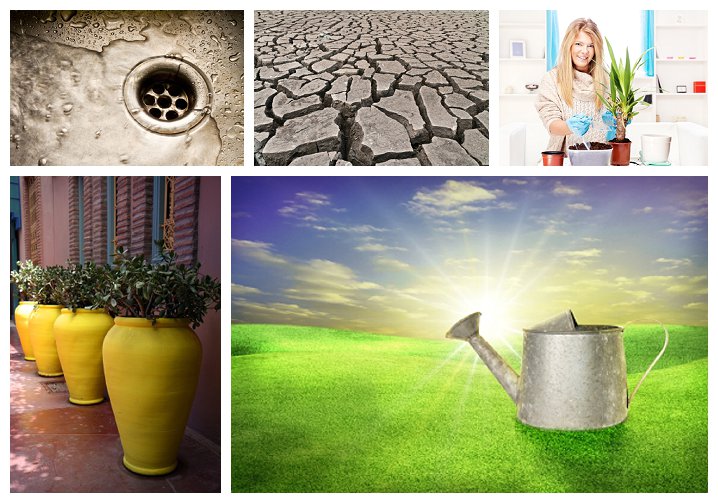 Images courtesy of FreeDigitalImages.net.  