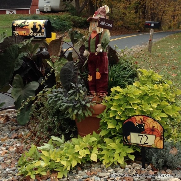 Matching box and sign