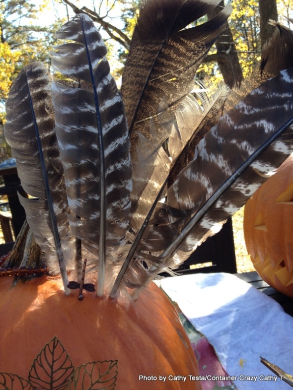 Feathers in Pumpkin