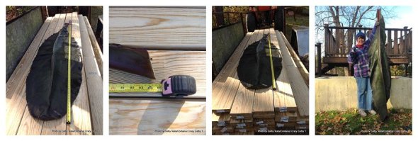 Storing Red Ban Plant_0003