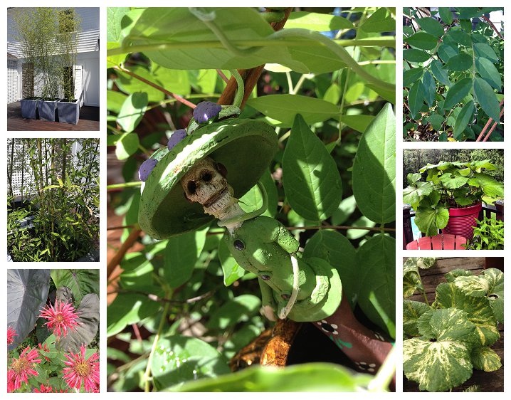 Photos by Cathy Testa