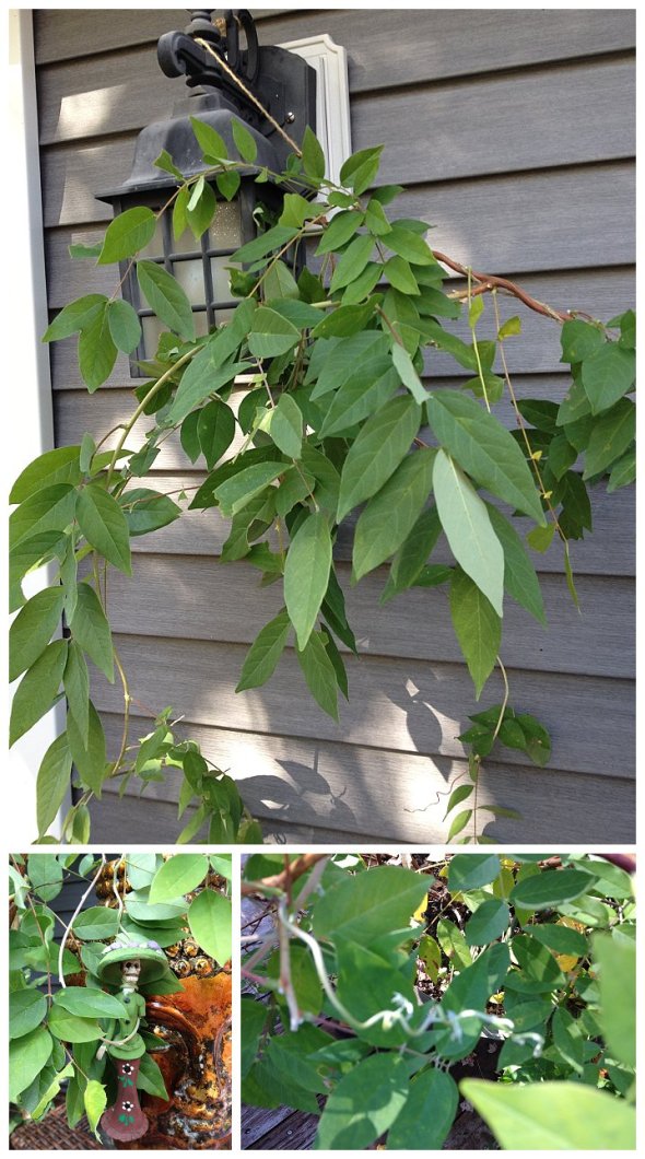 Photos by Cathy Testa