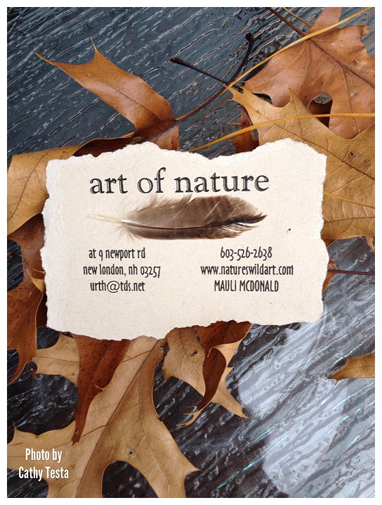 Art of Nature_0001