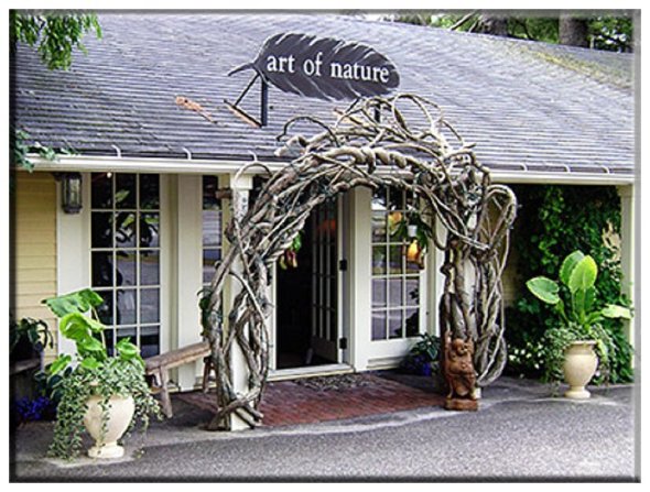 Image property of Mauli McDonald