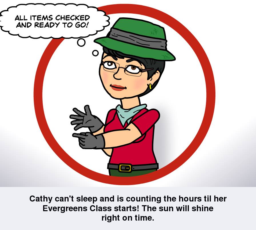 Bitstrips: Source for Image