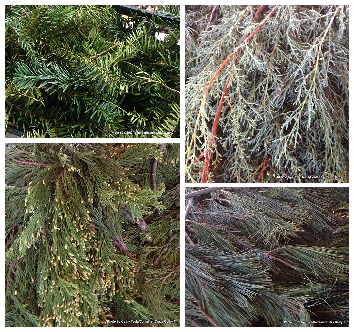 Evergreen Creations_0005