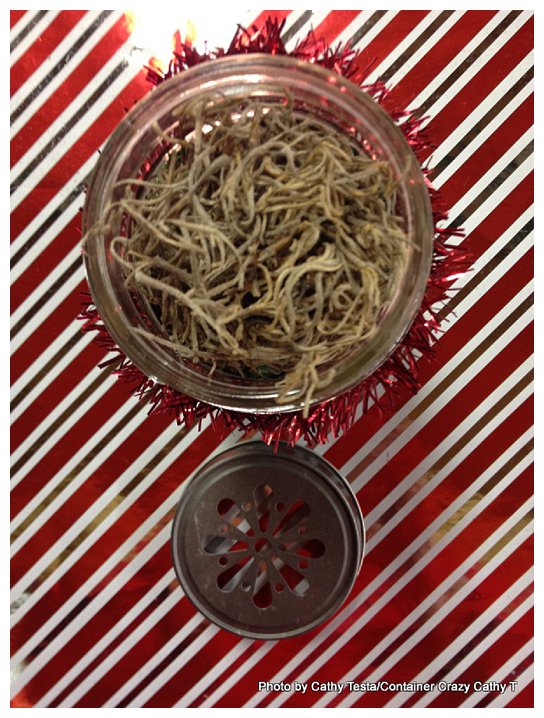 Evergreen Creations_0014