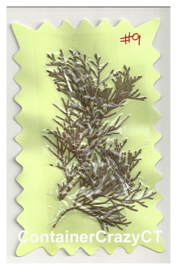 Pressed Sample of Flat Sprays