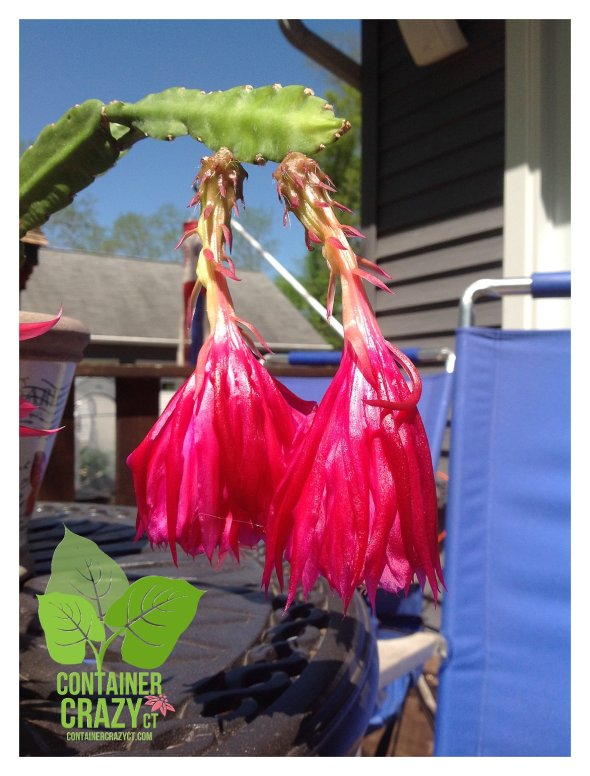 Goofing w Camera_0003