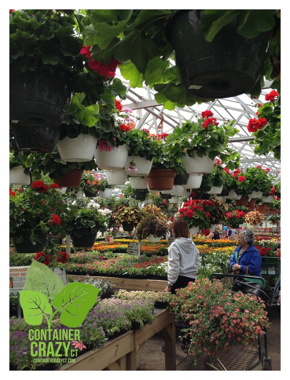 Mothers Day Shopping_0001