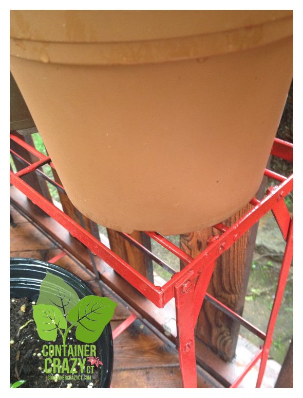 Elevate Pots ContainerCrazyCT_0007