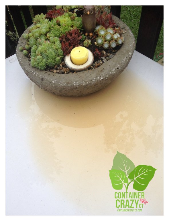 Elevate Pots ContainerCrazyCT_0009