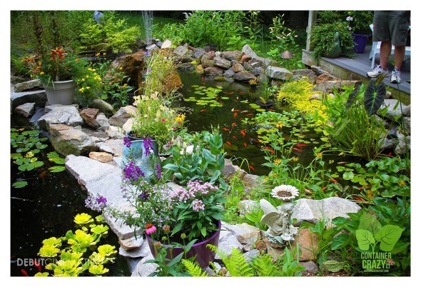 Pondering Ponds ContainerCrazyCT_0001