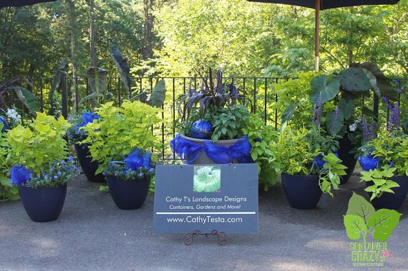 Wedding Container Gardens 2014