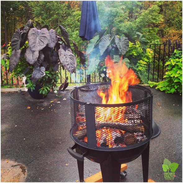 ContainerCrazyCT Hypertufa Making Class_0004