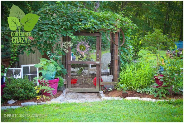 Chicken Coop Pen at Cathy T's