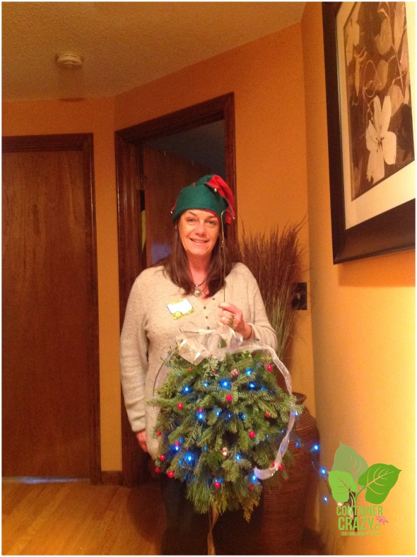 Lights in our Holiday Kissing Balls 