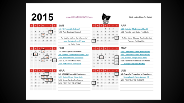 ContainerCrazyCT 2015 Calendar (2)