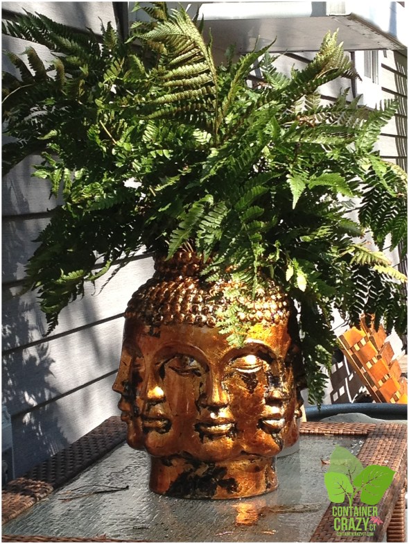 Head Planters ContainerCrazyCT_0001