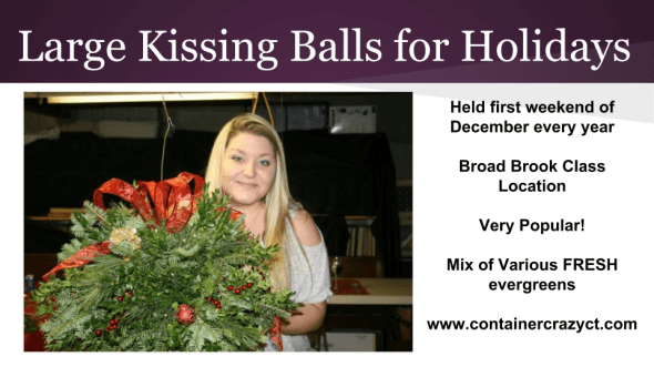 Edibles Container Gardening 2015 (10)