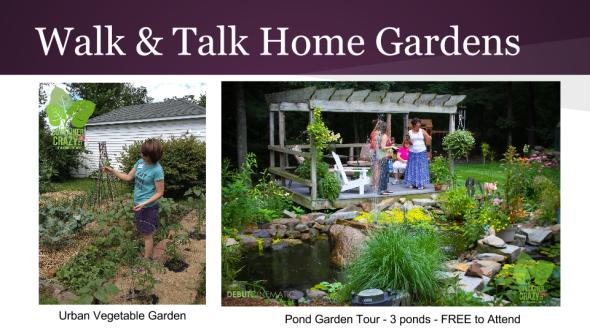 Edibles Container Gardening 2015 (11)