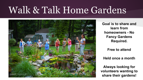 Edibles Container Gardening 2015 (12)