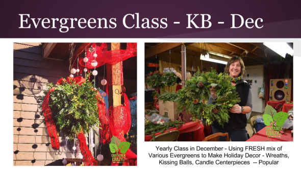 Edibles Container Gardening 2015 (9)