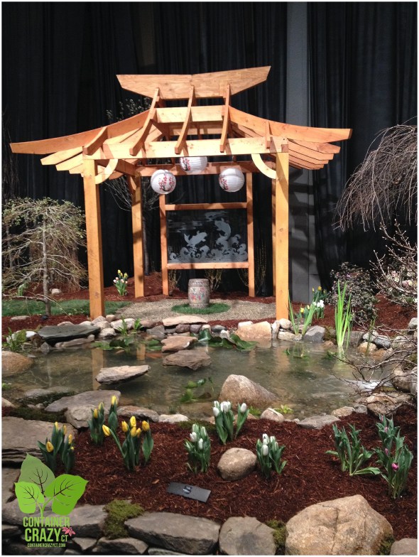 Landscape Display Aquascapes of CT