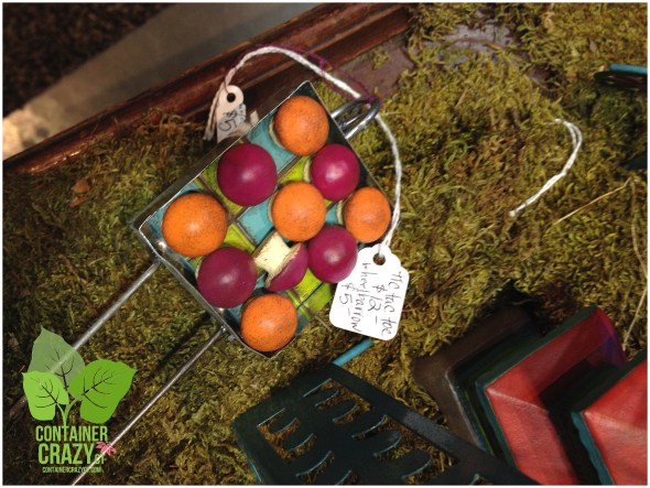 FlowerShow 2015 ContainerCrazyCT_0021-001